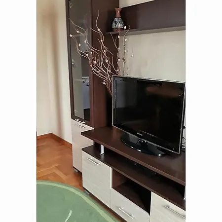 Apartmani Ivana Vrnjacka Banja Exterior photo