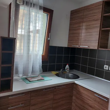 Apartmani Ivana Vrnjacka Banja Exterior photo
