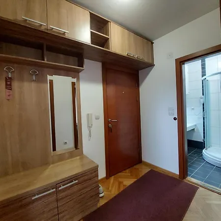 Apartmani Ivana Vrnjacka Banja Exterior photo