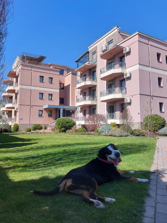 Apartment Ivana Vrnjacka Banja