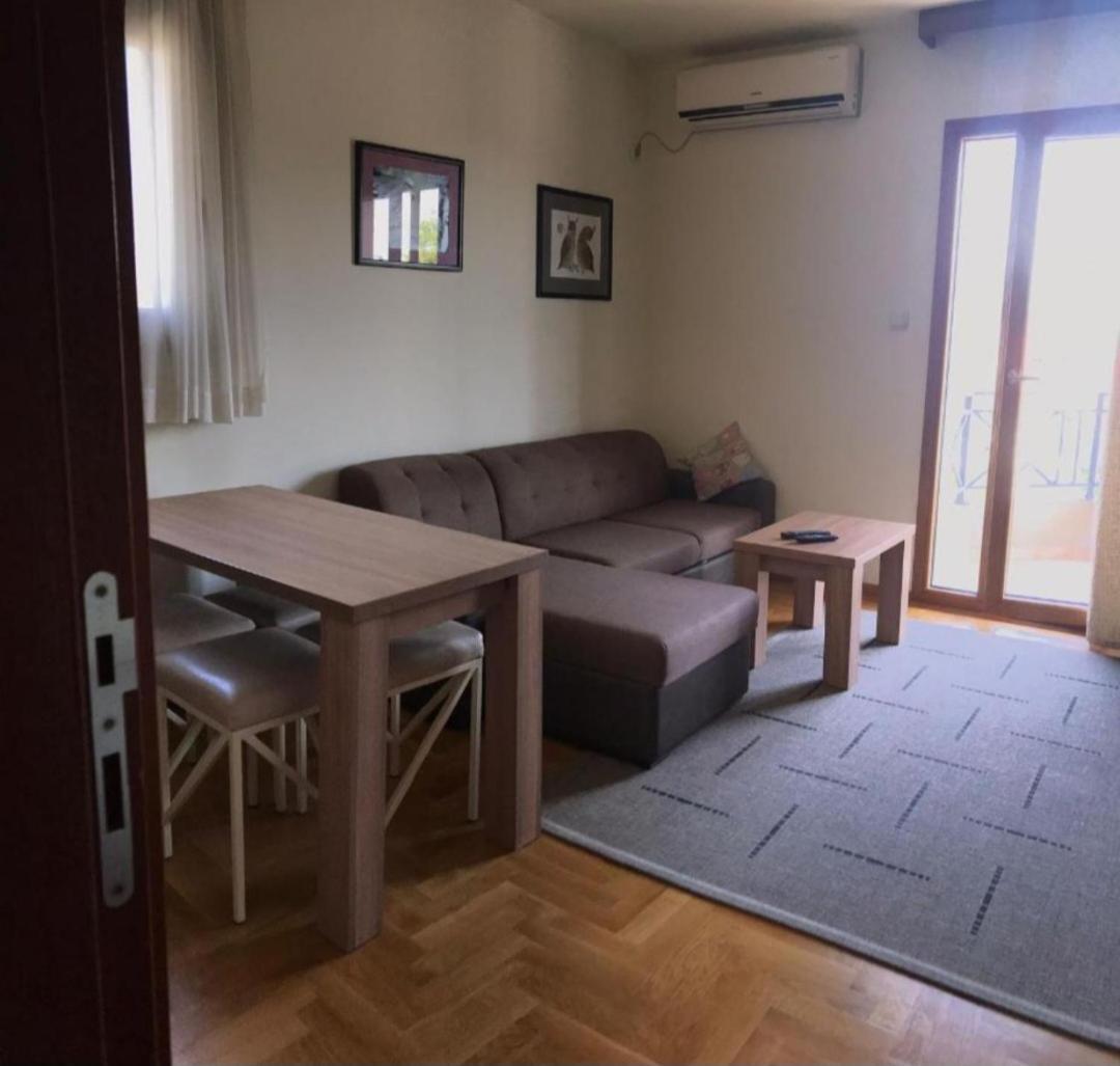 Apartment Ivana *